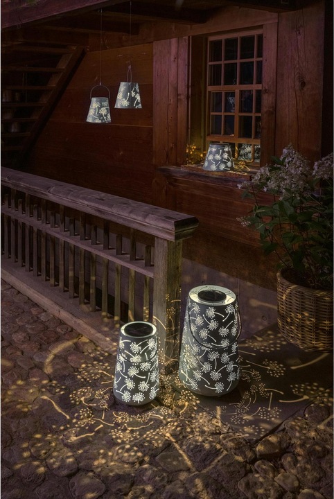Image du produit STT Antic Dandelion