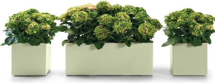 Produktbild Euro3plast Pflanzkübel Kebe 40 x 40 cm oasi Greener, mit Rollen und Bewässerung (39.50 cm)