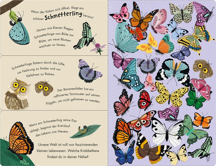 Produktbild Bienen & Käfer – Ein Klipp-Klapp-Buch über Krabbeltiere (Deutsch)