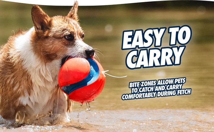 Actual product image Chuckit! Kick Fetch (Litter toy dog)