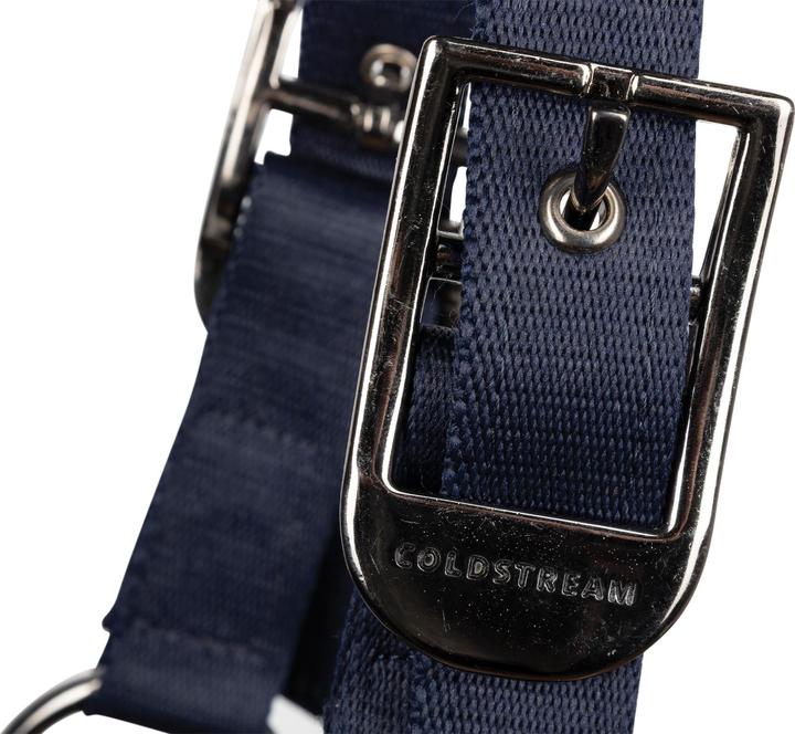 Actual product image Coldstream Middleton Horse Headcollar