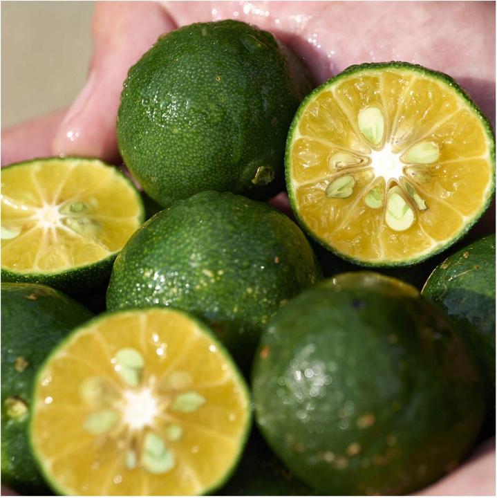 Actual product image Shiseido Waso - Shikulime Gel-to-Oil (Gel, 125 ml)