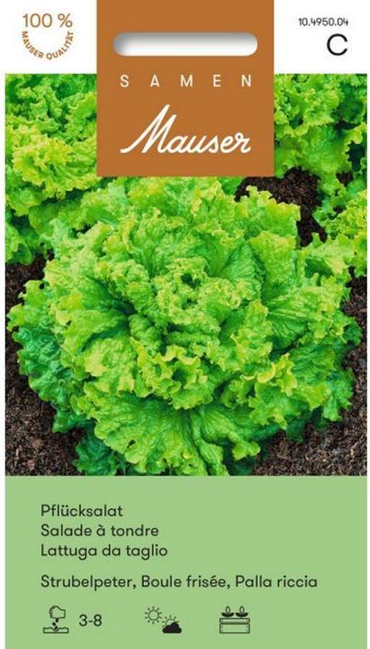 Samen Mauser Cueillette de laitue Strubelpeter (Graines de légumes)
