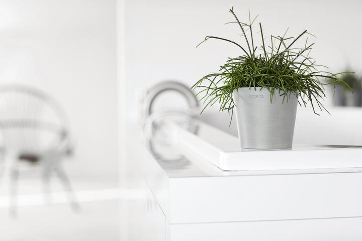 Produktbild Ecopots Amsterdam Mini (8 cm)
