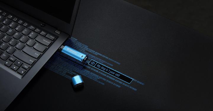 Actual product image Kingston IronKey Vault Privacy 50 (256 GB, USB-A)