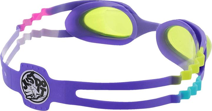 Produktbild Nike Chrome Schwimmbrille