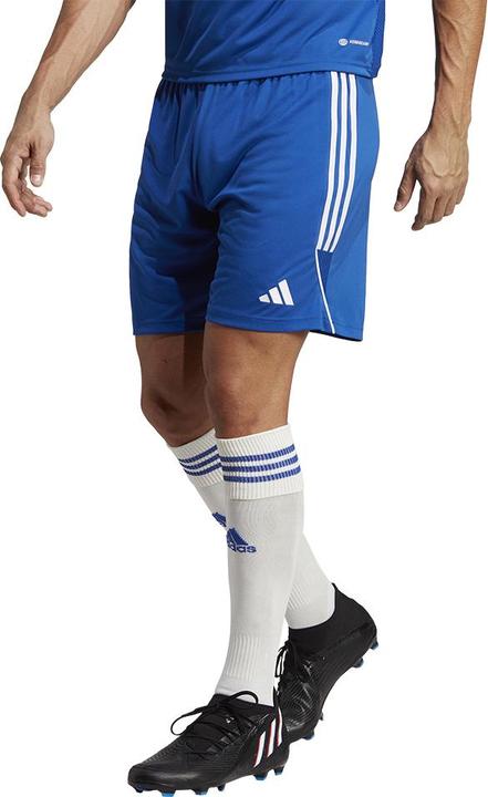 Actual product image adidas Tiro 23 training shorts men (L)