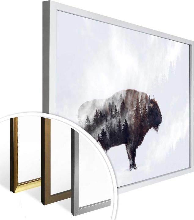 Produktbild Trenddeko Der Bison (80 x 60 cm)