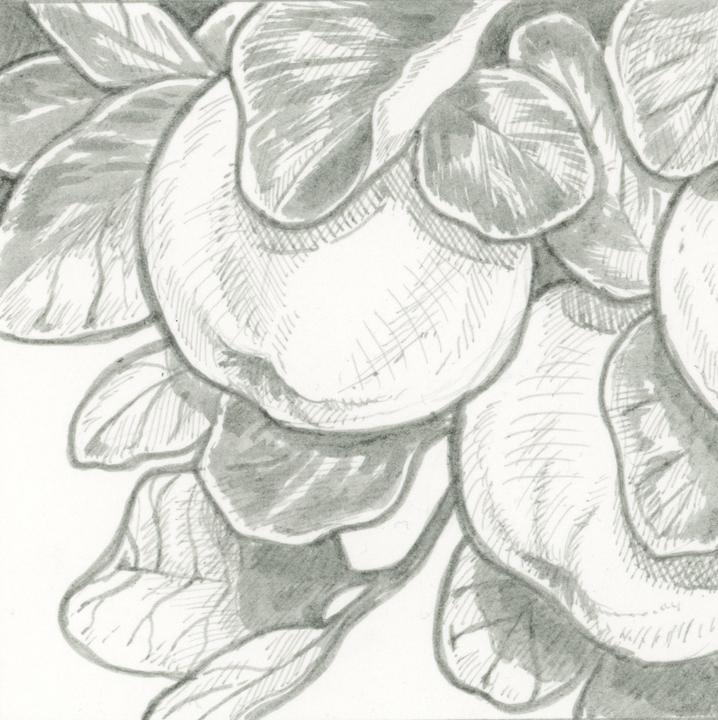 Produktbild Sakura Fineliner Pigma Micron 05 0.45 mm, Hellkaltgrau (Hellgrau, 1x)