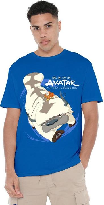 Image du produit Avatar: The Last Airbender - T-shirt IN FLIGHT - Homme (L)