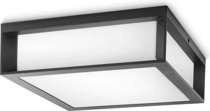 Actual product image Philips OUTDOOR LIGHT SKIES 2X42W E27 IP44 (E27, IP44)