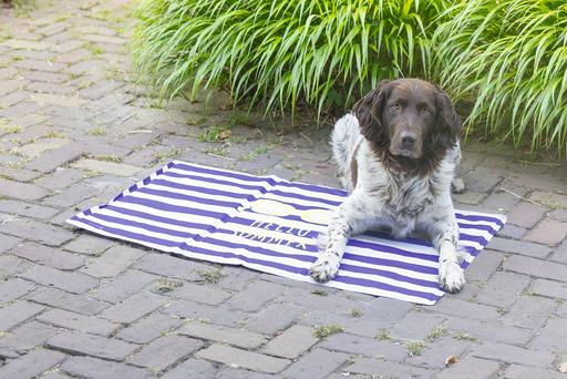 Actual product image Beeztees Hello Summer (Dog)