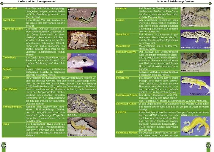 Produktbild Der Leopardgecko (Deutsch, Melanie Hartwig, 2021)