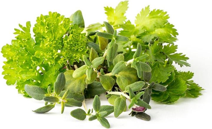 Actual product image Click and Grow Click & Grow Plant Pod Salad Mix (Plant seeds)