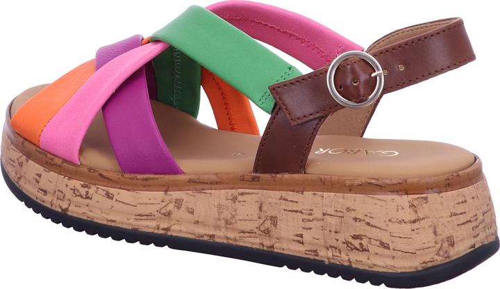 Carrot, Kork, Multicolor