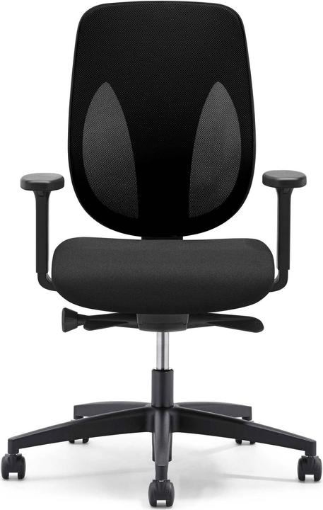 Giroflex 353 Netzrücken