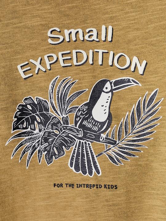 Actual product image Vertbaudet T-Shirt (62)