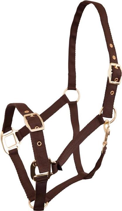 Actual product image Premiere Equitation