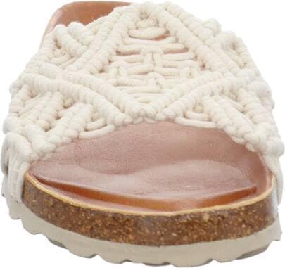 Actual product image Verbenas Raga (41)