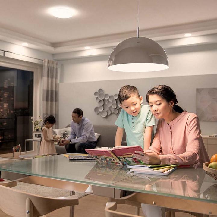 Actual product image Philips Professional Lamp 2 W to 8 W (60 W) E27 variable colour temperature (E27, 806 lm, 1 x)