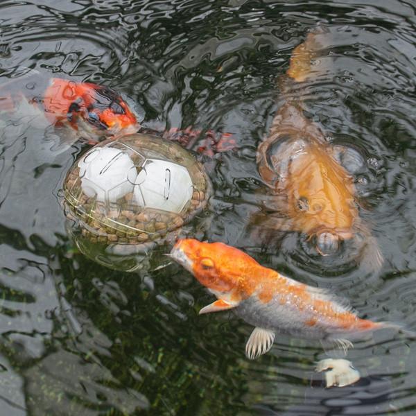 Produktbild SuperFish Koi Toy, Produktart: Futterautomat