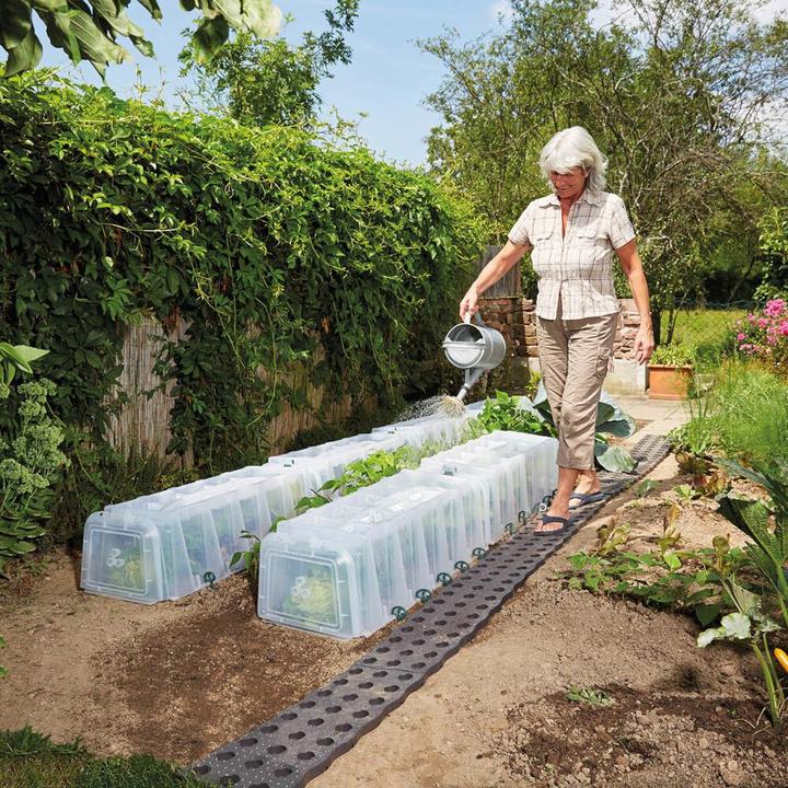 Actual product image Garantia Sunny