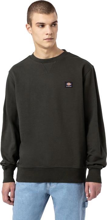 Produktbild Dickies Mount Vista Crew (L)