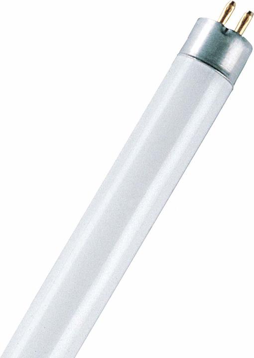 Lumière du jour