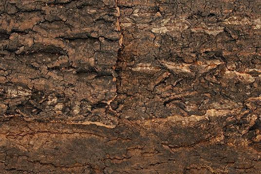 Produktbild Repti Planet Kork-Rück Wand 43.5 x 41 x 2 cm