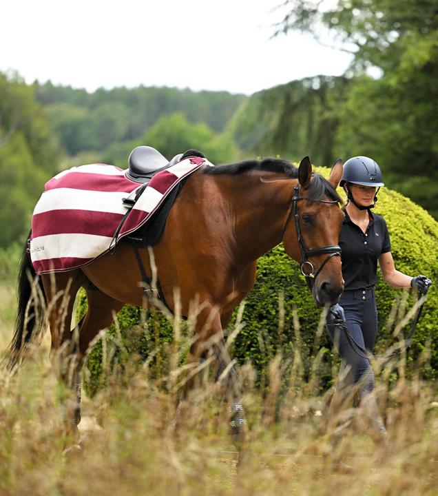 Actual product image Premier Equine Vellus