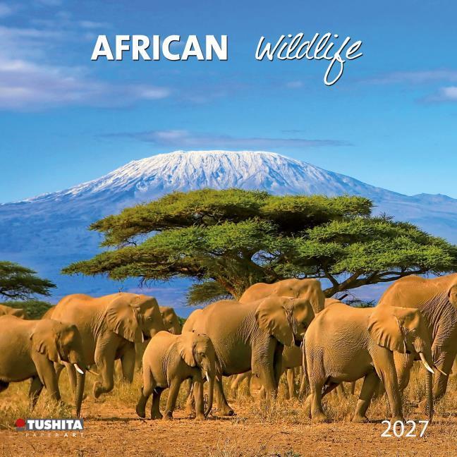 Produktbild AfricanWildlife2027