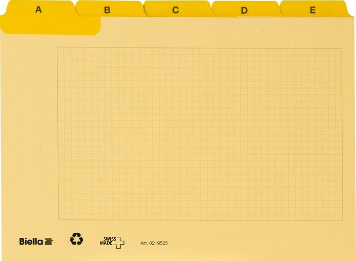 Biella Kartei-Leitkarten Alphabet A - Z kariert (A5, 450 g/m², 25 x)