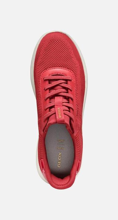 Image du produit Geox Spherica Plus (38)