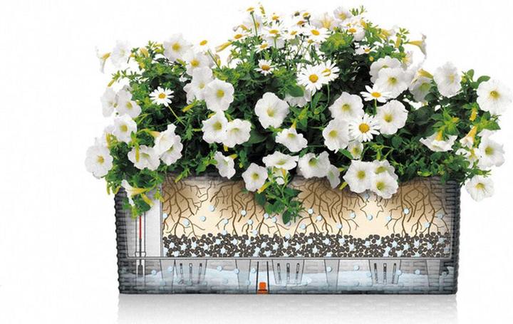 Actual product image Lechuza Balconera Color (19 cm)