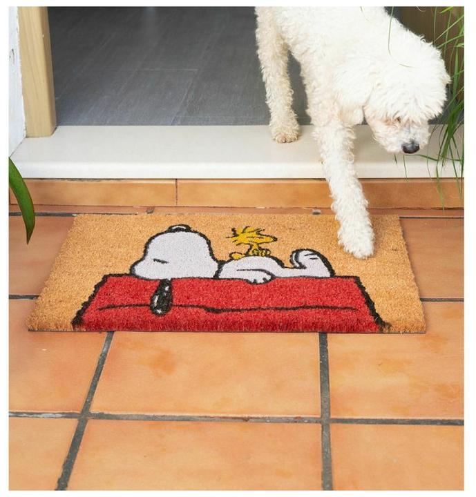 Image du produit Erik Snoopy - Dormir sur le toit (60 x 40 cm)
