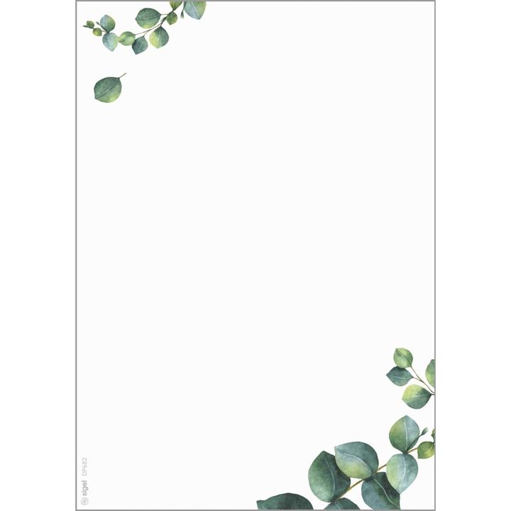 Actual product image Sigel Design-Papier "Eucalyptus" (A5, 100 Sheets, 90 g/m²)