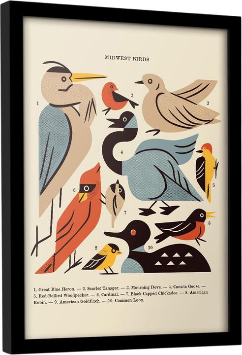 Produktbild Midwest Vögel Gerahmtes Poster (40 x 30 cm)