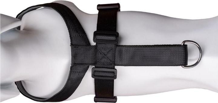 Actual product image Company of Animals CarSafe Autogeschirr (Dog)