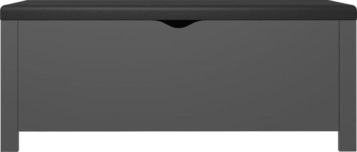Produktbild VidaXL Aufbewahrungsbox (105 x 40 x 45 cm)
