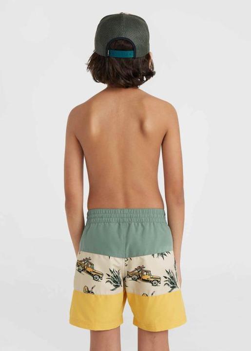 Actual product image O'Neill MIX & MATCH CALI BLOCK 13" SWIM SHORTS (140)