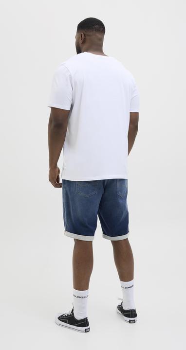 Actual product image Jack & Jones JJIRICK JJICON I.K. SHORTS GE 132 SN PLS (46)