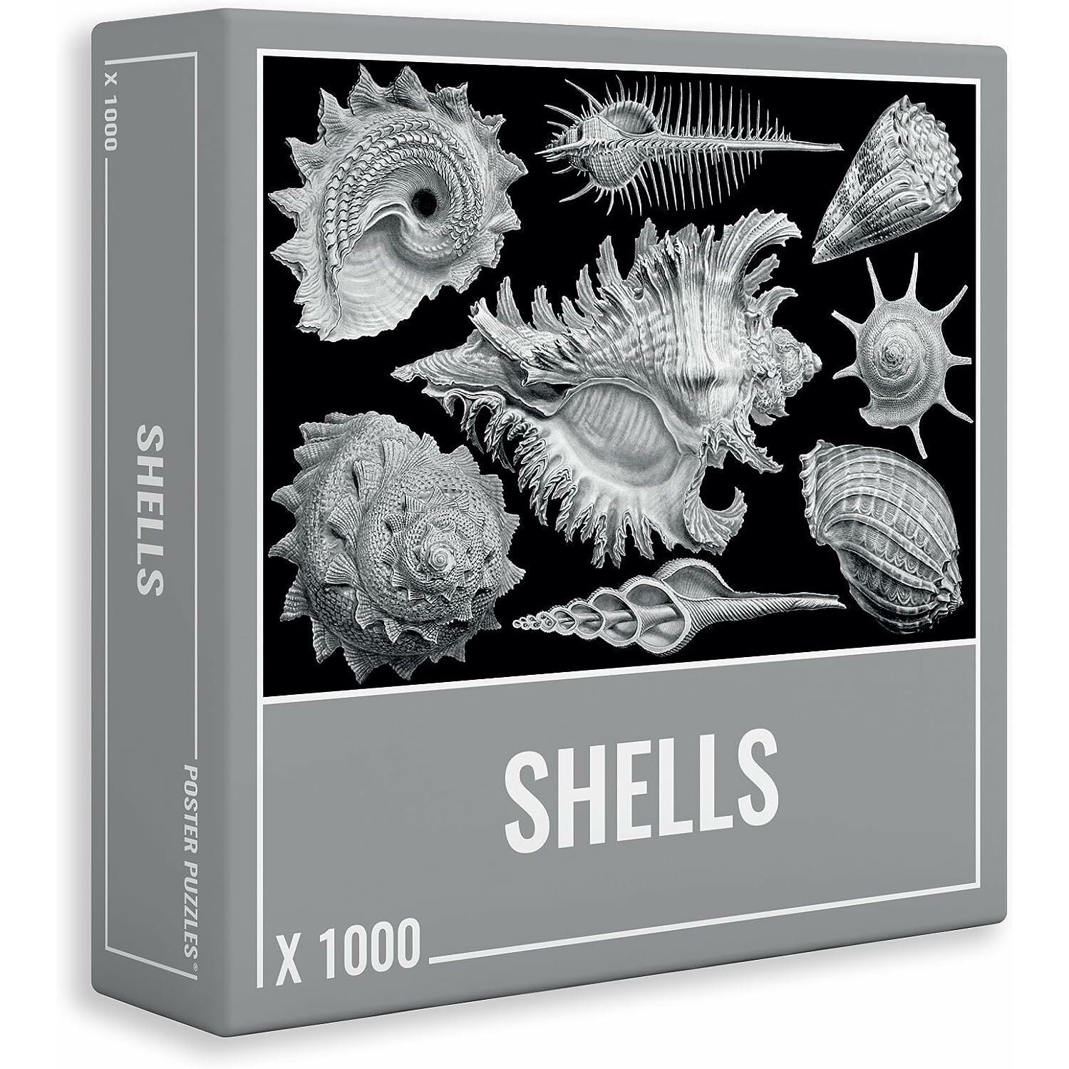 Cloudberries Puzzle Muscheln 1000 Teile (1000 Teile)