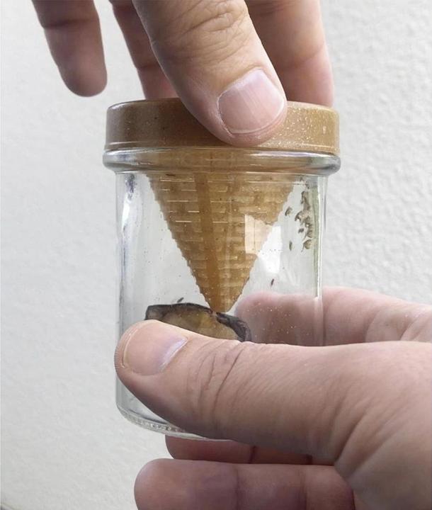 Actual product image Vincentes Frubby