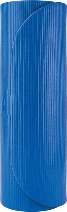 Actual product image Airex Coronella 185, blue, with eyelets (15 mm)