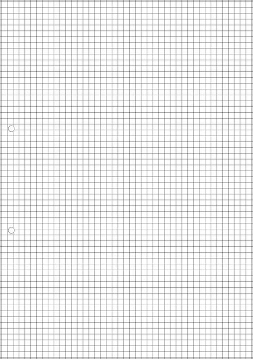 Actual product image Naturaline Ring binder inserts A4 (A4, Checked)