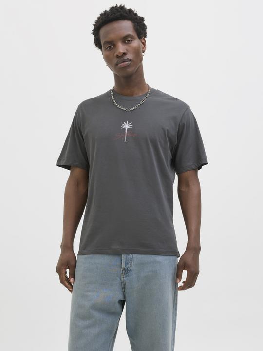 Actual product image Jack & Jones Jorbradley Goldengate Tee Ss C.N Stmss25 (S)