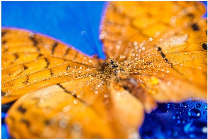 Actual product image 7artisans 60mm f/22 - 2,8 II, Sony E (Sony E, APS-C / DX)