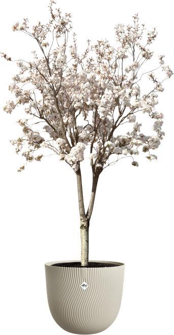 Produktbild Elho Pflanzentopf Sereh Rund 25 cm Beige (25 x 24.50 cm)