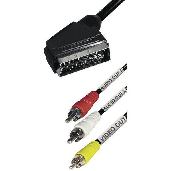 Transmedia Cavo adattatore, a) da 1x spina scart, b) a 3x spina cinch, 2 metri (Cavi antenna), Cavo antenna