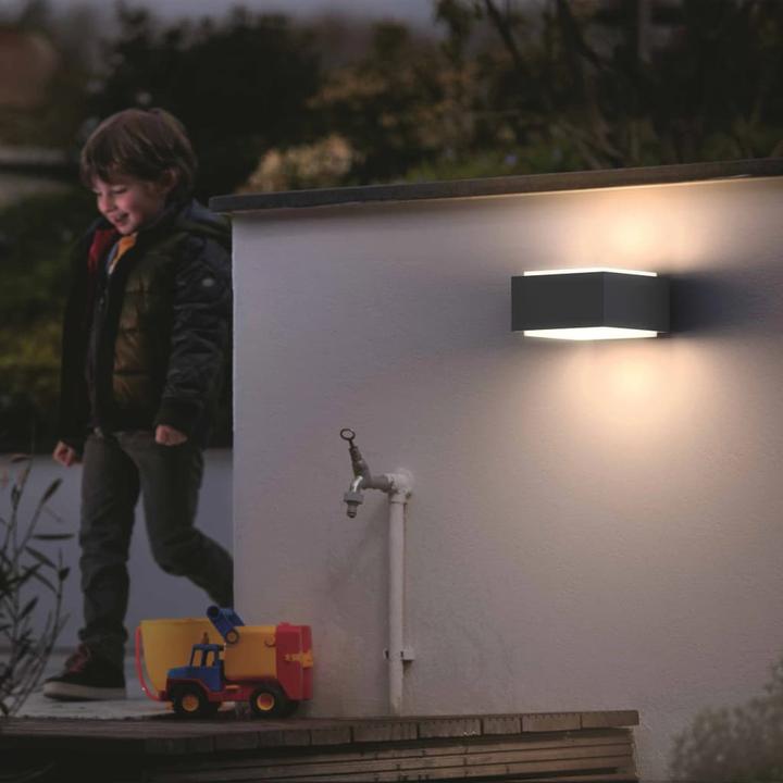 Image du produit Philips Hedgehog (2480 lm, E27, IP44)